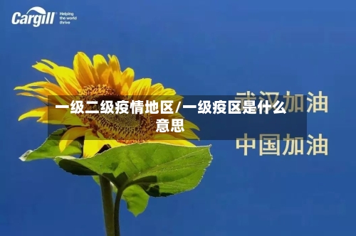 一级二级疫情地区/一级疫区是什么意思