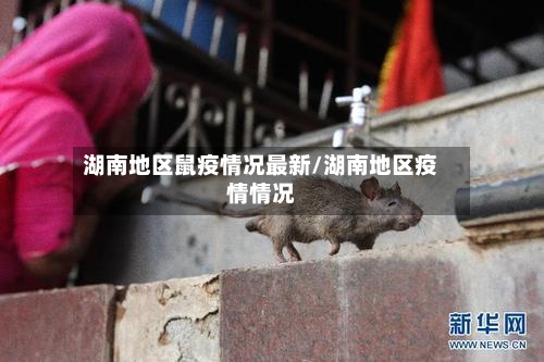湖南地区鼠疫情况最新/湖南地区疫情情况