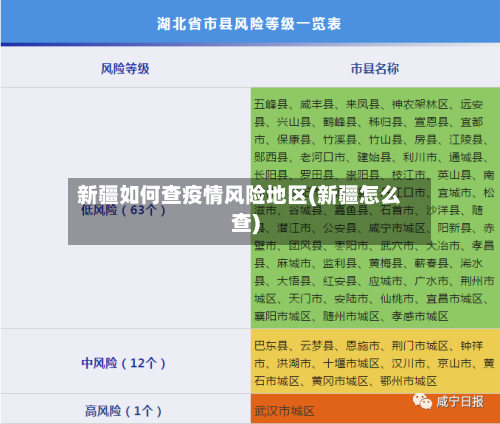 新疆如何查疫情风险地区(新疆怎么查)