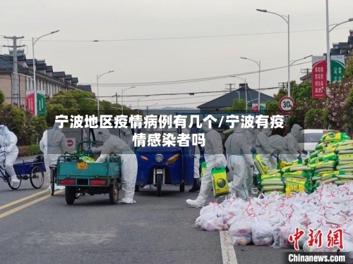 宁波地区疫情病例有几个/宁波有疫情感染者吗
