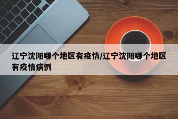 辽宁沈阳哪个地区有疫情/辽宁沈阳哪个地区有疫情病例
